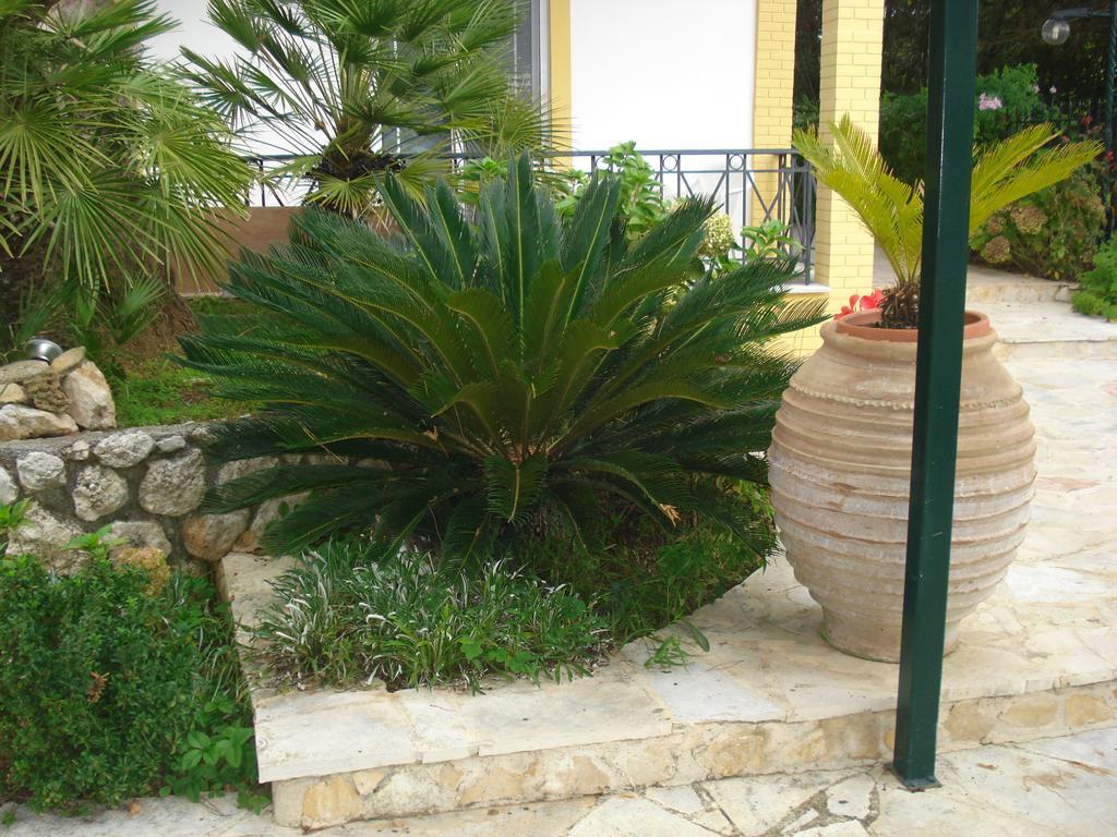 Iron House Apartment Agios Georgios  Exterior photo